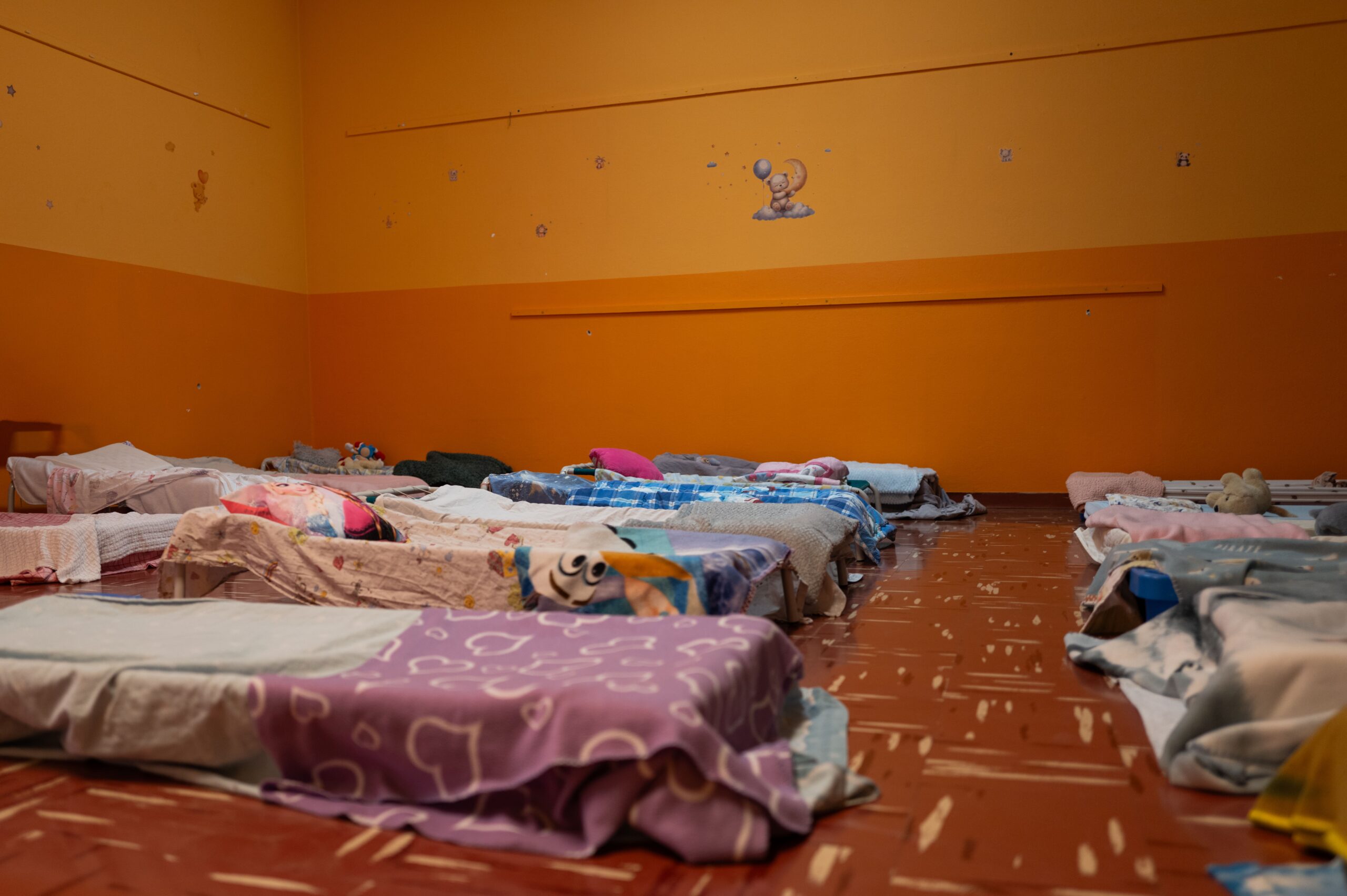 asilo pietro selmi 24